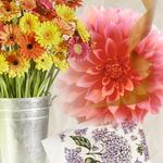 
Something To Crow About - Scottsdale Florist & Gifts
